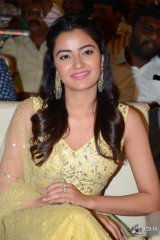 Krishnarjuna Yuddham Pre Release Function